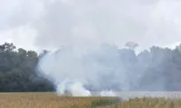 Small Plane From Iowa Crashes in Indiana Cornfield, Killing Everyone Onboard