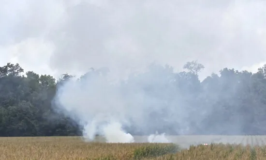 Small Plane From Iowa Crashes in Indiana Cornfield, Killing Everyone Onboard