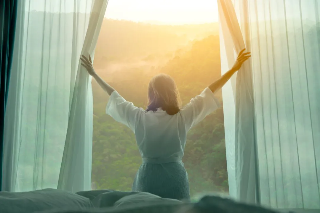 (Me dia/Shutterstock)