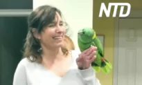 Parrot Puts on a Perfect Performance