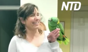 Parrot Puts on a Perfect Performance