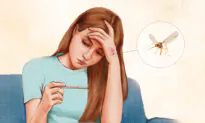 West Nile Virus: The Most Common Mosquito-Borne Disease—Here Are the Symptoms and Treatments