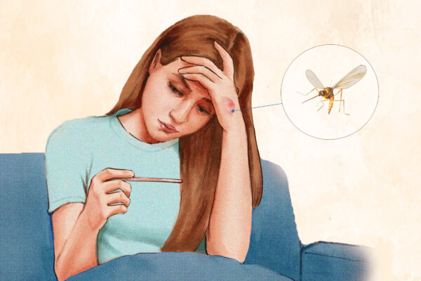 West Nile Virus Infection: Symptoms, Causes, Treatments, and Natural Approaches