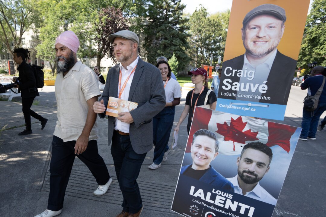 NDP Defends Palestinian Flag in Campaign Flyer