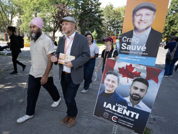 NDP Rejects Criticism of Campaign Leaflet With Palestinian Flag