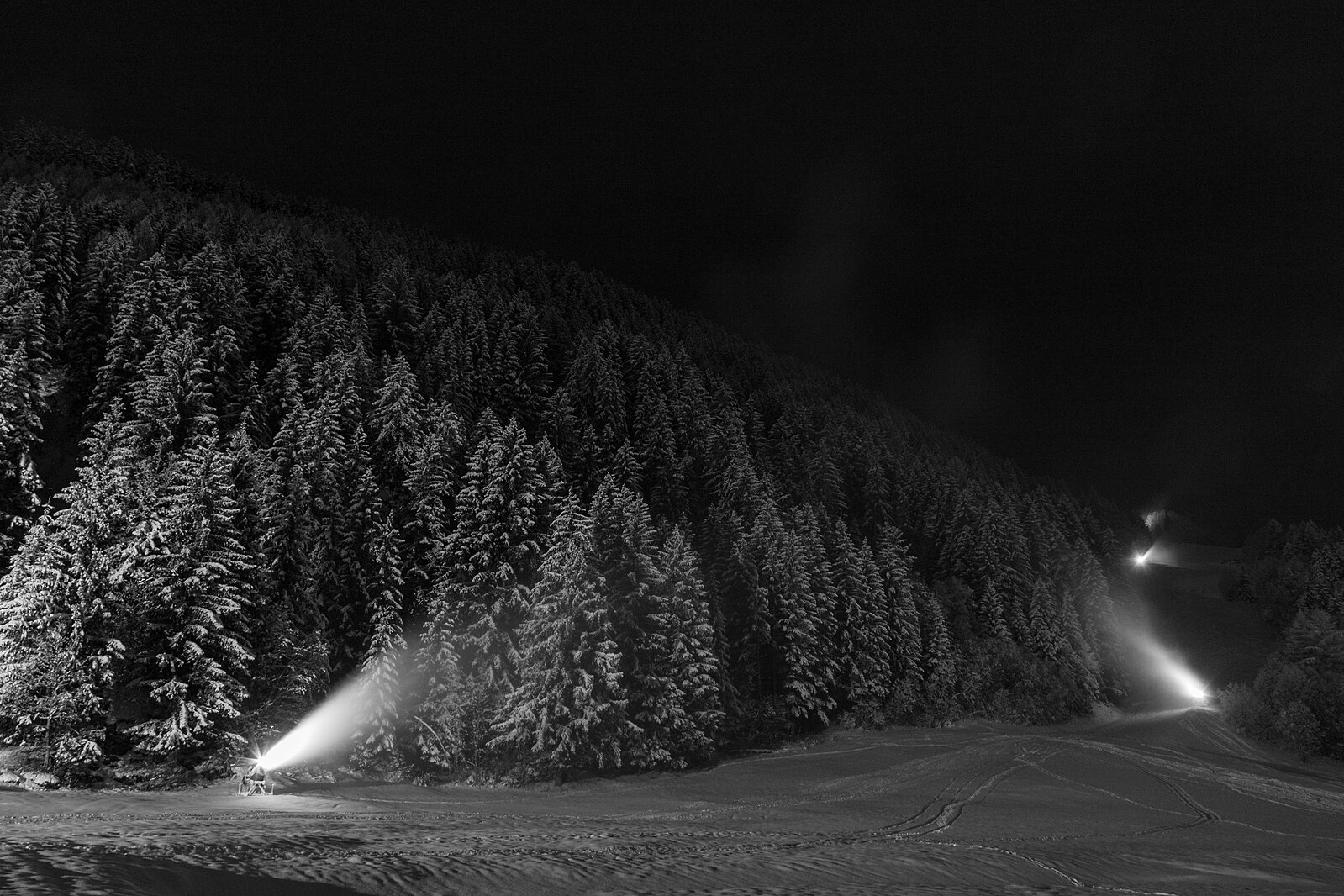 Forest, Spotlights, nighttime