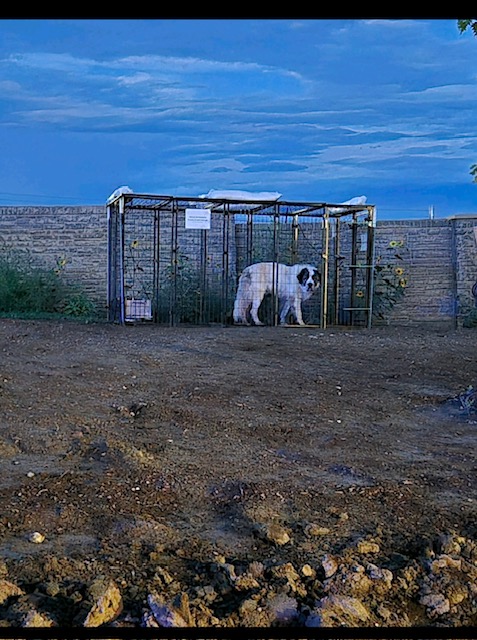 Epoch Times Photo