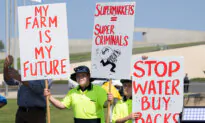 ‘Can’t Eat Red Tape’: Farmers Rally Outside Parliament Against Live Sheep Export Ban
