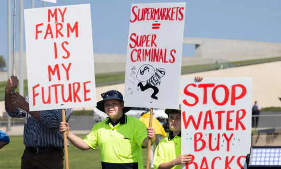 ‘Can’t Eat Red Tape’: Farmers Rally Outside Parliament Against Live Sheep Export Ban