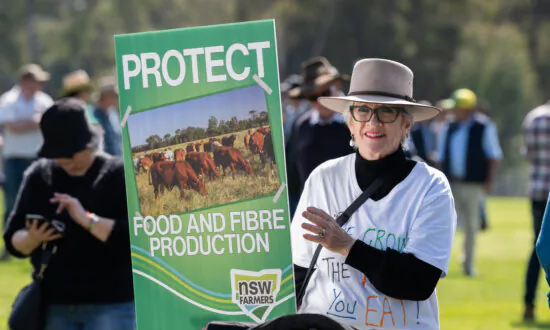 ‘It’s About Policy, Not Politics’: Farmer Leader on Canberra Protest