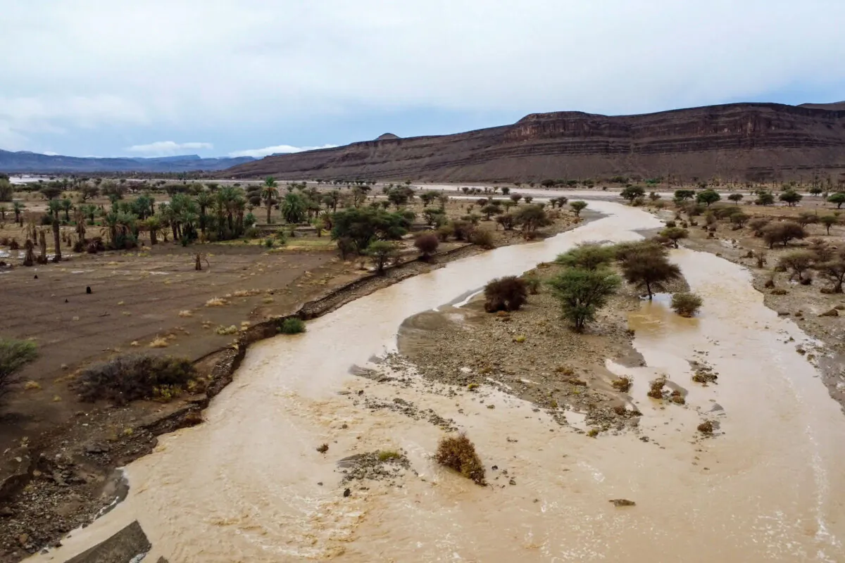 A desert oasis is flooded due to heavy rainfall in Tazarine, Zagora, southern Morocco, Sunday, Sept. 8, 2024 (AP Photo)