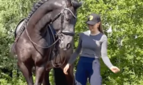 Woman Teaches Stallion How to Dance