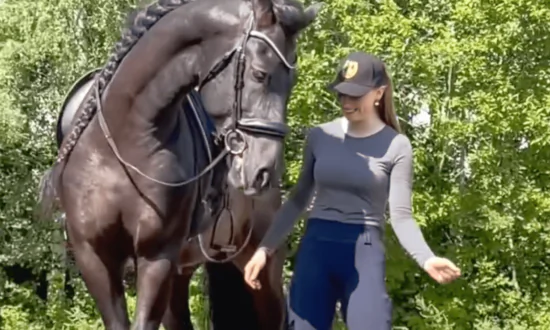 Woman Teaches Stallion How to Dance