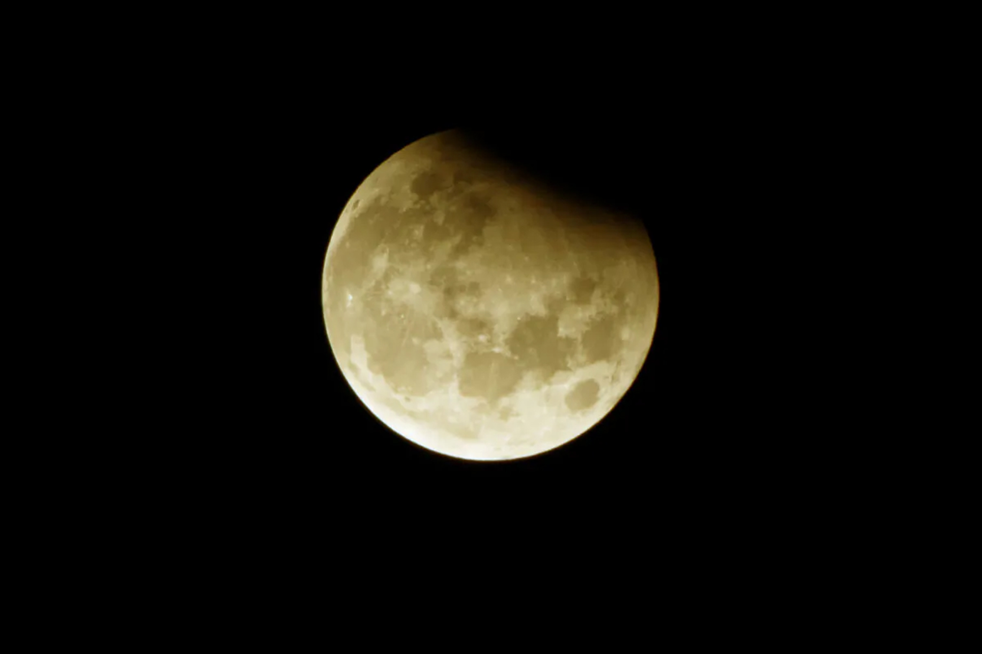 Epoch Times Photo