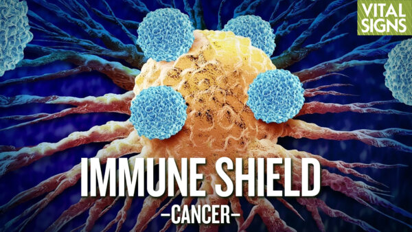 How to Boost Cancer Immunity and How Cancer ‘Thinks’ Like a Virus