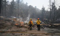 Southern California Fire Destroys Dozens of Homes Near Los Angeles