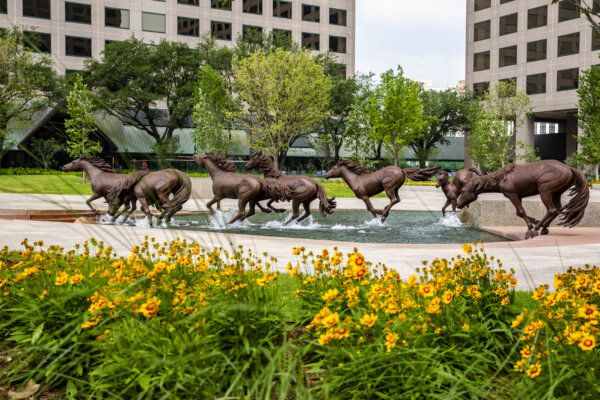 A Texan Treasure: The ‘Mustangs of Las Colinas’