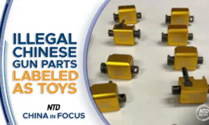 US Seizes 350 Websites Used to Import Gun Parts From China