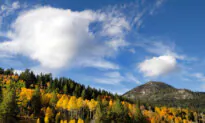 Here’s Your Fall Travel Cheat Sheet Including Cheapest Flights and Top Destinations