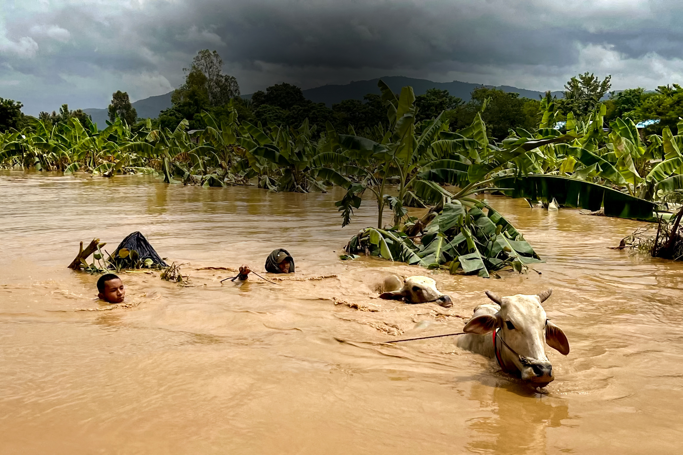 Day in Photos: Typhoon Yagi, the ‘Heaviest Leek,’ and the Funeral of Peru’s Former President