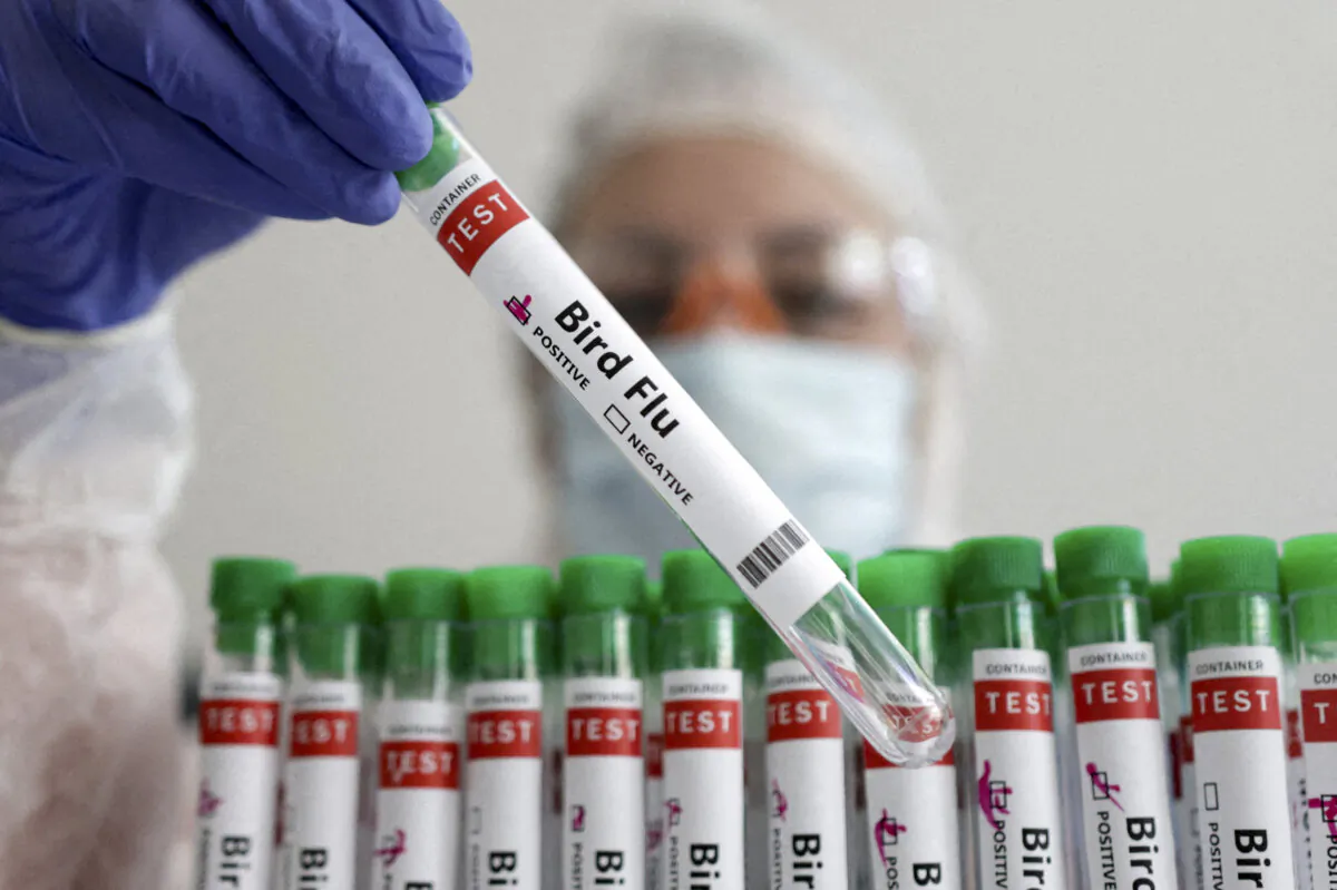A person holds a test tube labelled "Bird Flu," in this picture illustration, on Jan. 14, 2023. (Reuters /Dado Ruvic /Illustration/File Photo)