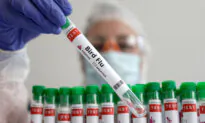 ‘Needle-Free’ Bird Flu Vaccine Trial Begins in Australia With US Backing