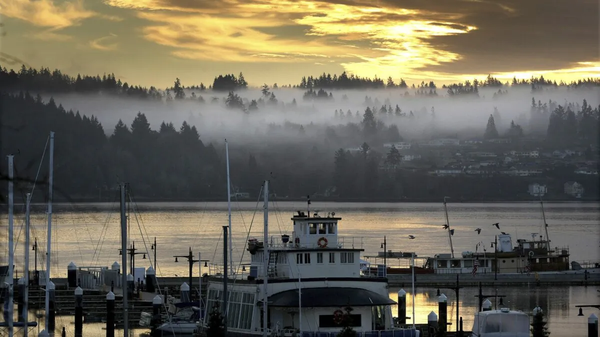 Low clouds hover in the trees in Port Orchard seen from the Bremerton Harborside Marina in Bremerton, Wash., on Dec. 22, 2014. (Larry Steagall/Kitsap Sun via AP, File)