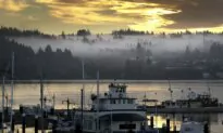 River Otter Attacks Child at a Seattle-Area Marina