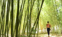 Sensuous and Special Wellness Spas in San Diego