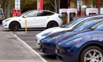 Hybrid Car Sales Continue Steady Growth in Australia