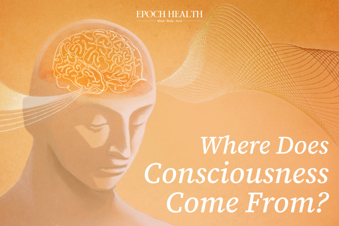 Consoousness Where Does Consciousness Come From? | The Epoch Times