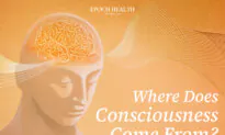 Where Does Consciousness Come From?