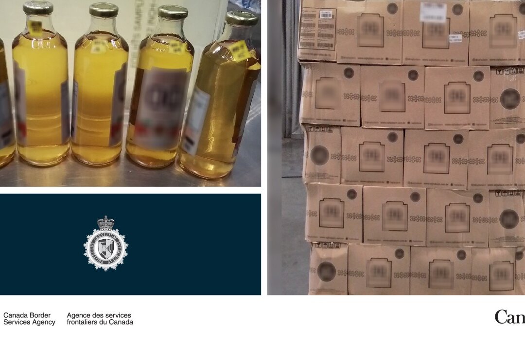 Three Charged in Queensland Meth Import Attempt