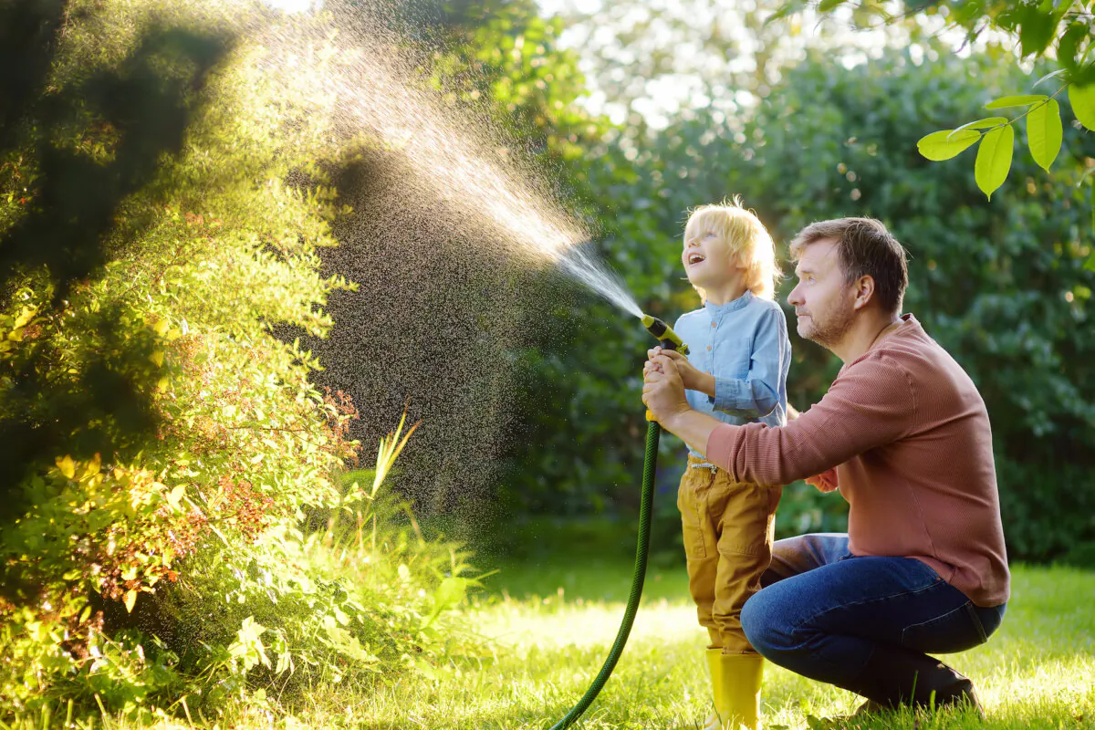 Continue watering your plants regularly in autumn until the ground is frozen. (Maria Sbytova/Shutterstock)