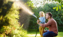 When Should I Stop Watering My Plants This Fall?