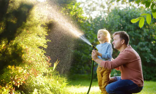 When Should I Stop Watering My Plants This Fall?
