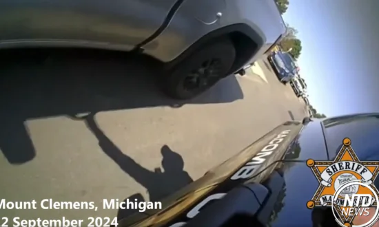 Michigan Sheriff’s Deputy Climbs Into Car to Rescue Dazed Driver