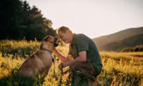 How to Care for an Aging Pet, According to Veterinarians