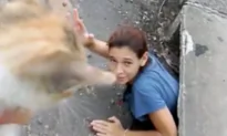 Woman Rescues Kitten in Storm Drain