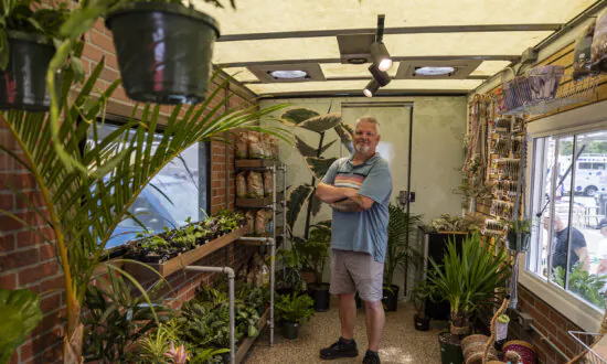 Roots, Shoots and Leaves Helps Customers Be ‘Best Plant Parent They Can Be’