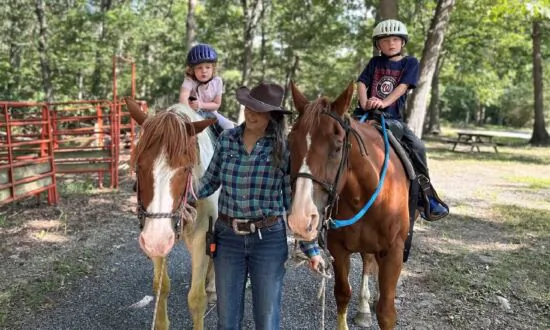Shenandoah County: Virginia’s Lesser-Known Gem for Families