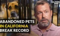 Why California Animal Shelters Are Facing Record Number Abandoned Pets | Zach Skow