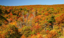 The Best National Parks for Seeing Spectacular Fall Foliage This Year