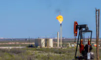 Texas Sues Federal Gov’t Over Concerns Endangered Lizard Listing Could Hurt Oil and Gas Sector