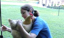 Chicken Gives Woman a Hug