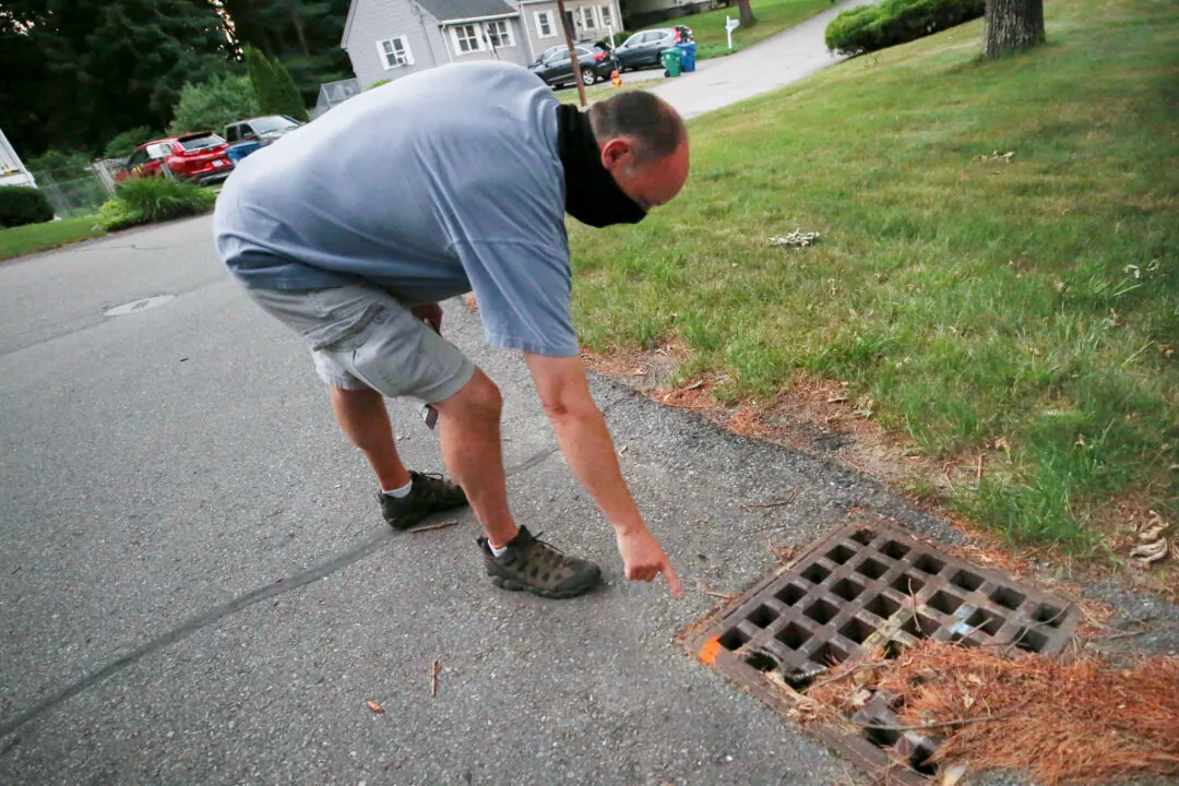 Chris Gagnon, field operations manager for the East Middlesex Mosquito Control Project, points out a paint marker to identify that a storm drain has been treated for mosquito control in Burlington, Mass., on July 8, 2020. (Charles Krupa/AP Photo)