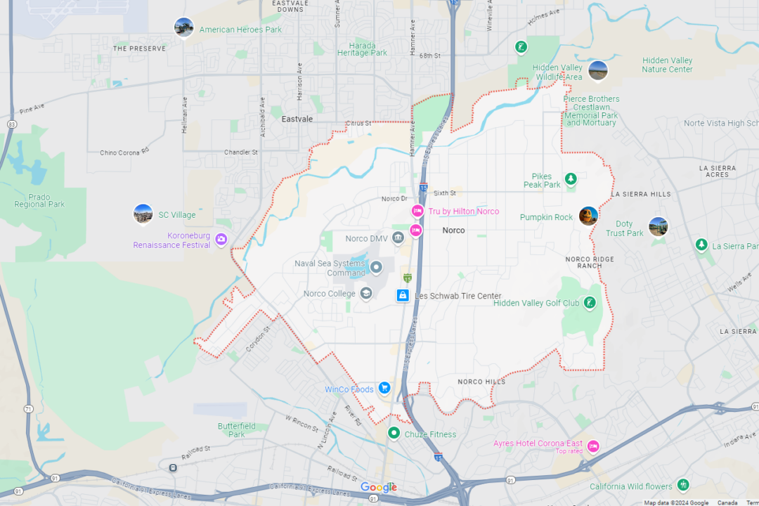 Passenger Killed When Horse Smashes Through Windshield During