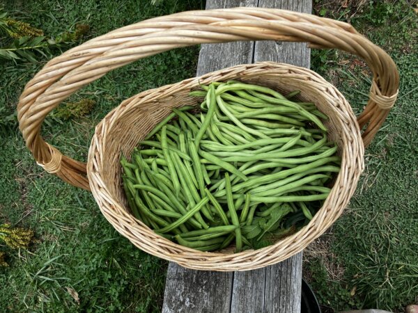 Epoch Times Photo