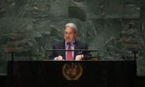 NZ Foreign Minister Condemns Russia at UN, Makes Bid for Security Council Seat