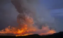 Man Trying to Cremate His Dog Sparked Wildfire in Colorado, Authorities Say